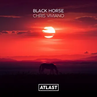 Black Horse by Chris Viviano