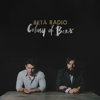 Colony of Bees by Beta Radio