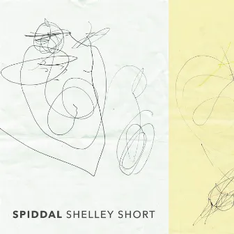 Spiddal by Shelley Short