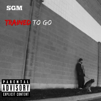 Trained to Go by SoundGuyMike