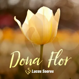 Dona Flor by Lucas Soares LS