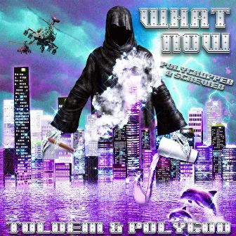 WHAT NOW (polyCHOPPED & SCREWED) by Toldem