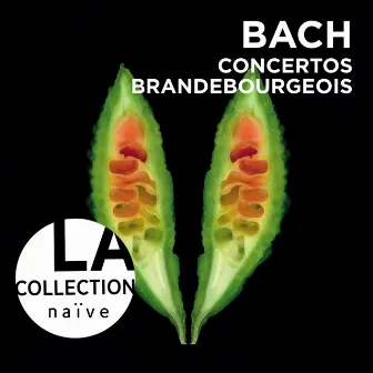 Bach: Brandenburg Concertos by Concerto Italiano