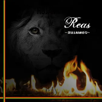 Rujamos by REAS