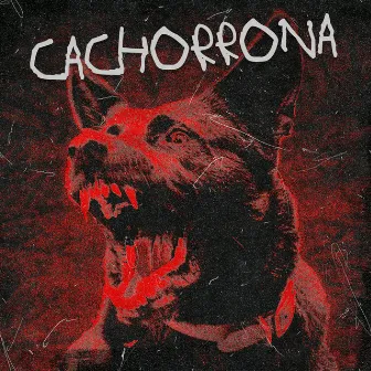 CACHORRONA by estrelas da norte