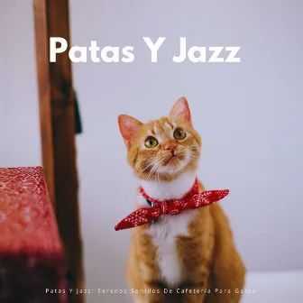 Patas Y Jazz: Serenos Sonidos De Cafetería Para Gatos by Gato Somnoliento