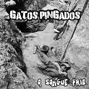 A Sangue Frio by Gatos Pingados