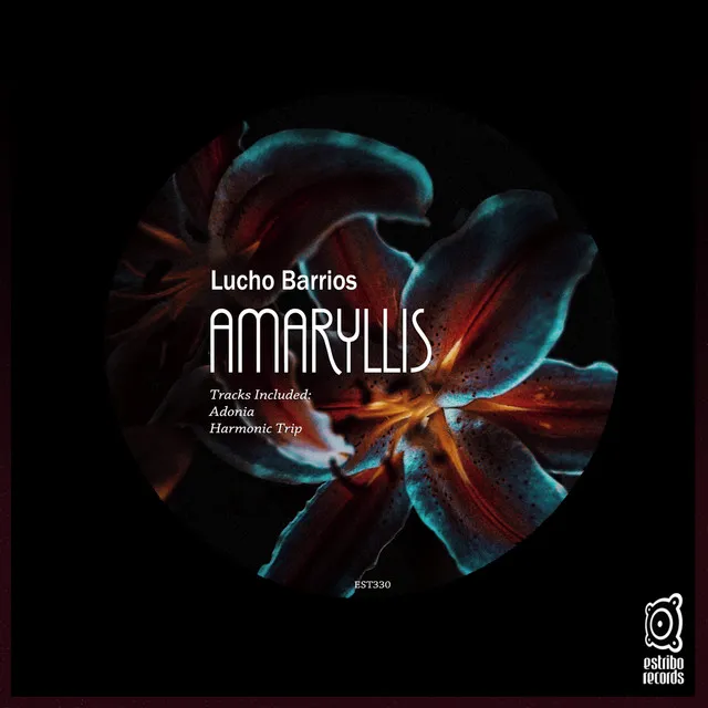 Amaryllis