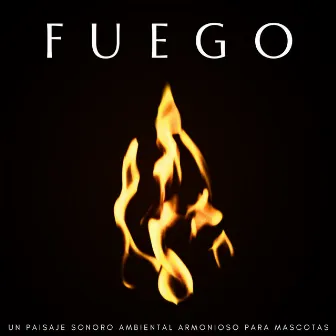 Fuego: Un Paisaje Sonoro Ambiental Armonioso Para Mascotas by Sonidos de fuego de la naturaleza mística