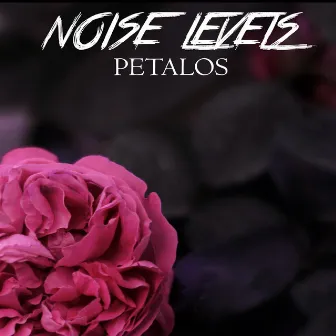 Pétalos by Noise Levels