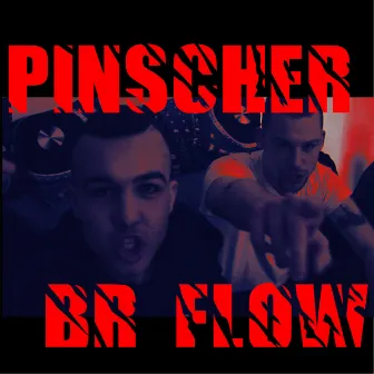 Br Flow by Pinscher