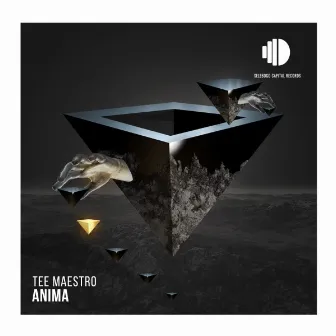 Anima by Tee Maestro