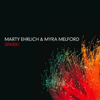 Spark! by Marty Ehrlich