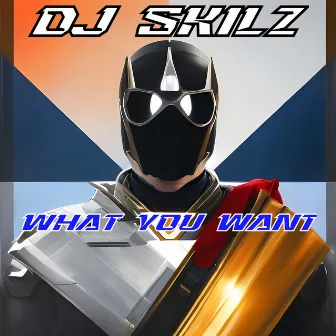 What You Want by DJ SKILZ