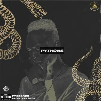 Pythons by Twice Given