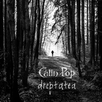 Dreptatea by Calin Pop