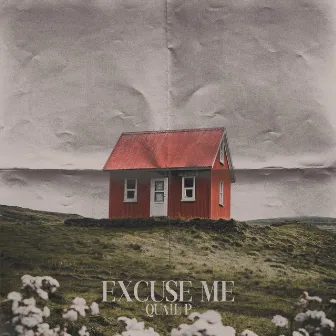 Excuse Me by Quail P