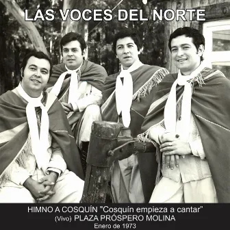 Cosquin Empieza A Cantar (Live) by Las Voces Del Norte