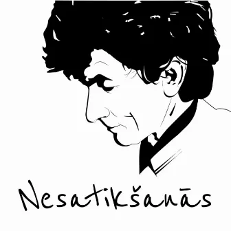 Nesatikšanās by Rīmdari