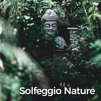 Solfeggio Nature (a Calmful Lullaby Journey) by Hz Frequencies Solfeggio