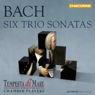 Bach: Six Trio Sonatas Re-Imagined for Chamber Orchestra by Tempesta Di Mare