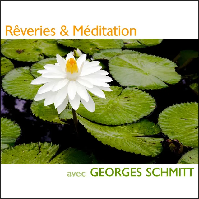 Rêveries & Méditation (Panpipes Dreams)