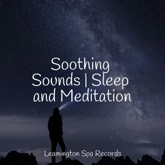 Soothing Sounds | Sleep and Meditation by Sleep Rain