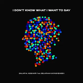 I don’t know what I want to say by Salar M. Asghari