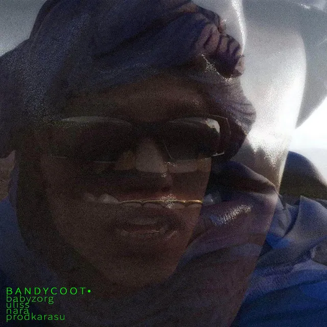 bandycoot