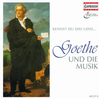 Goethe And Music, Vol. 2 - Wolf, H. / Schubert, F. / Mozart, W.A. / Beethoven, L. Van / Schumann, R. / Brahms. J. / Liszt, F. / Mendelssohn, Felix by Andreas Wiedermann