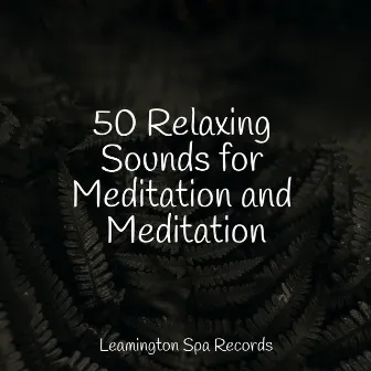 50 Relaxing Sounds for Meditation and Meditation by Nature Sound Series