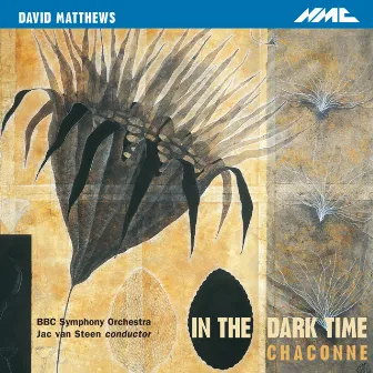 David Matthews: In the Dark Time, Op. 38 & Chaconne, Op. 43 by David Matthews