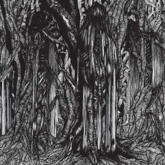 Black One by sunn O)))