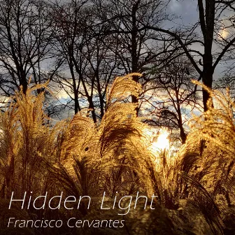 Hidden Light by Francisco Cervantes