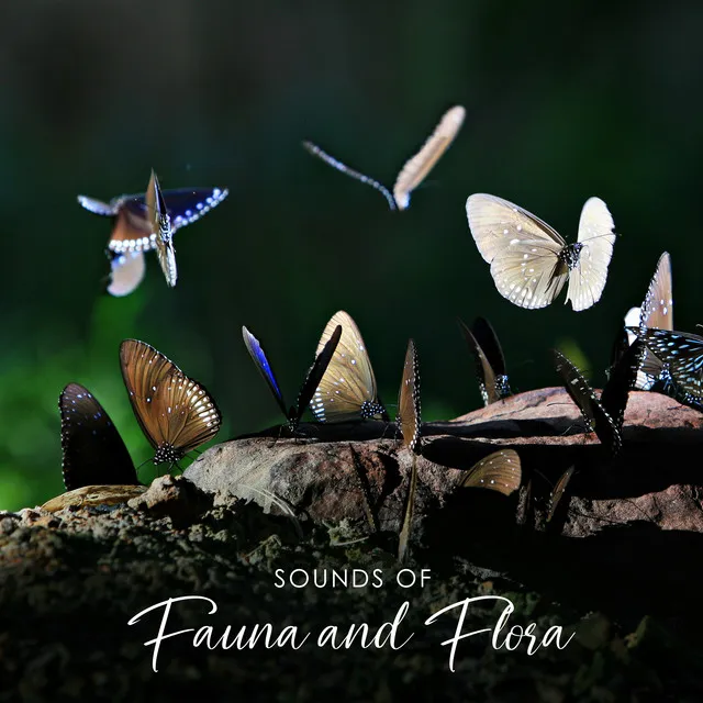 Sounds of Fauna and Flora: Amazing Nature Sounds Collection