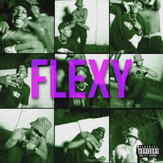 Flexy by Stackio