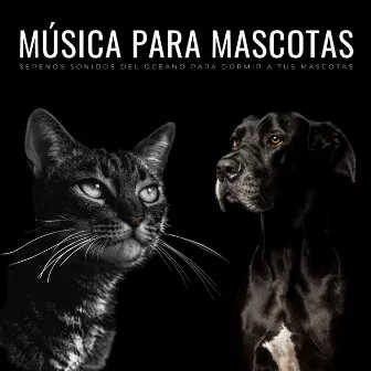 Música Para Mascotas: Serenos Sonidos Del Océano Para Dormir A Tus Mascotas by Perro radio 1