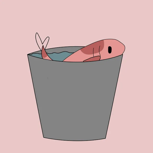 Fish in a Bucket