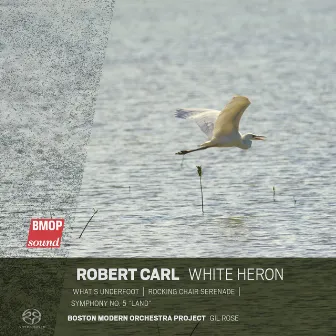 Robert Carl: White Heron by Robert Carl