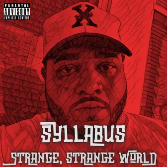 Strange, Strange World by Syllabus