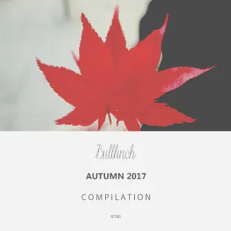 Bullfinch Autumn 2017 Compilation by FGTN Toys