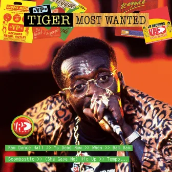 Most Wanted by Tiger