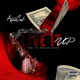 Live It Up by Allicat