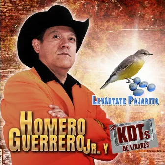 Levantate Pajarito by Homero Guerrero Jr. Y Los KDT´s De Linares