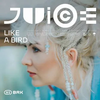 Like A Bird by Udoo