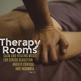 Therapy Rooms - Calm And Healing Music For Stress Reduction, Anxiety Control And Insomnia, Vol. 1 by Unknown Artist