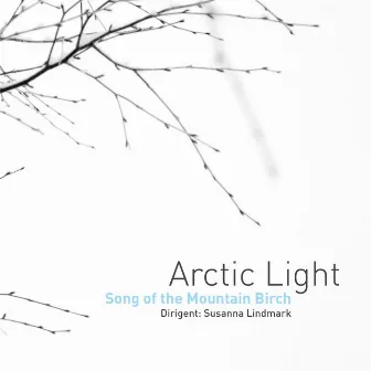 Song of the Mountain Birch by Susanna Lindmark