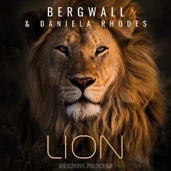 Lion by Bergwall