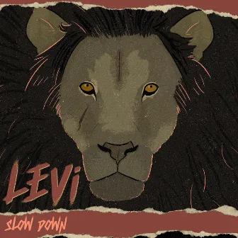 Slow Down by LEVi