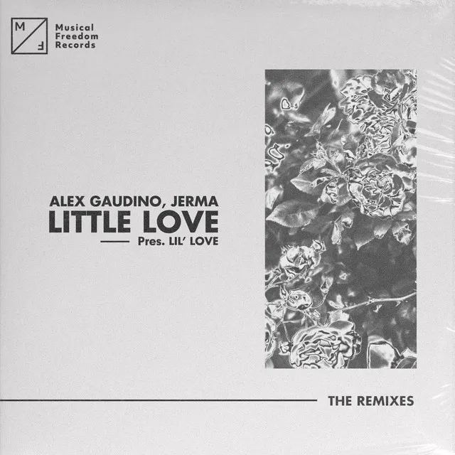 Little Love (pres. Lil' Love) [The Remixes]